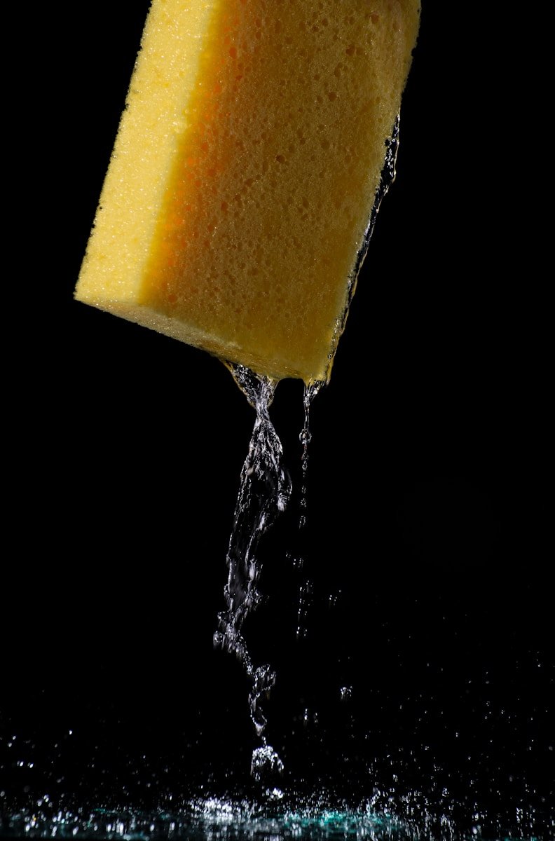 Photo by Full Stack yellow cheese on white water
